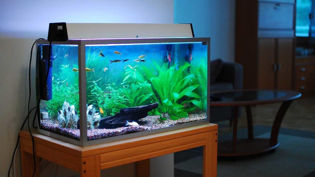 home aquarium pumps